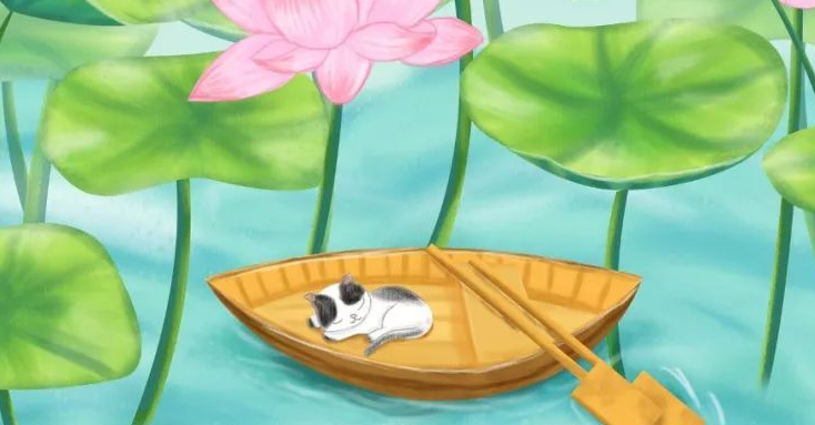 夏至是什么时候