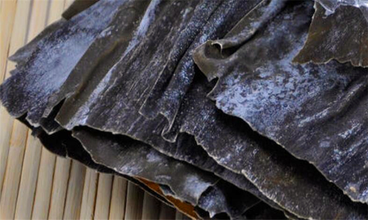 昆布是什么东西