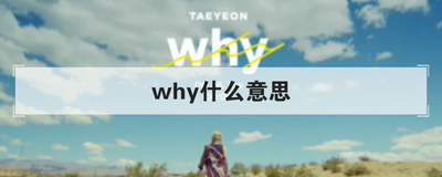 why什么意思
