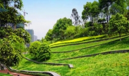 重庆茶园属于哪个区