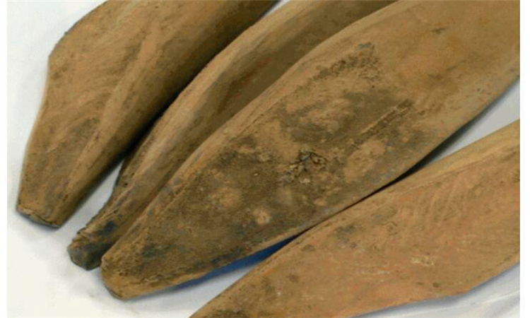 鲣鱼干为什么那么硬