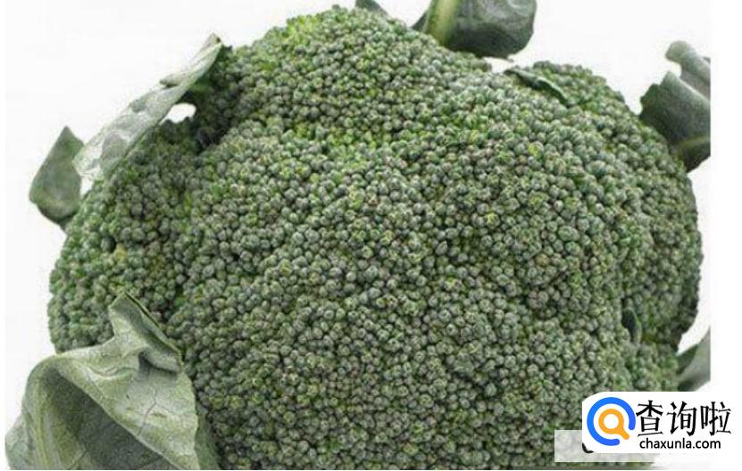 减肥吃什么食物最有效