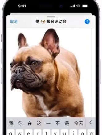 ios16如何抠图