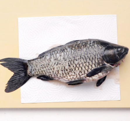 鲫鱼豆腐汤的做法