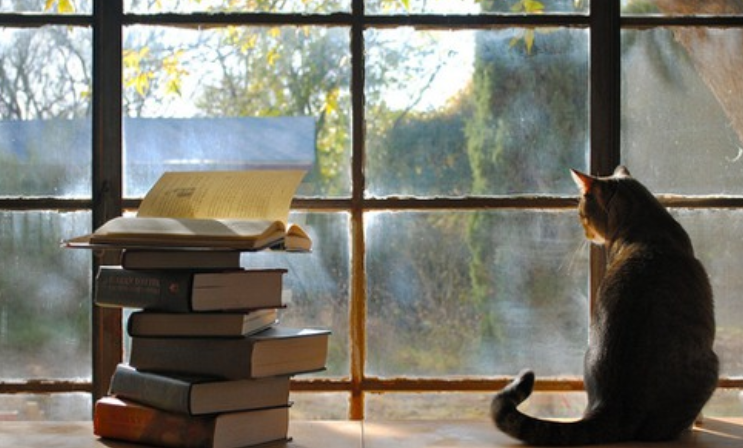 英语四级考试时间是什么时候