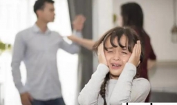 爸爸妈妈因为我吵架了怎么办