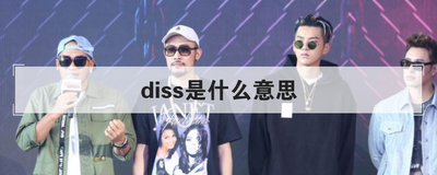 diss是什么意思