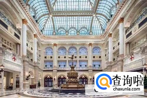 新蒲京是什么意思？新蒲京是干嘛的