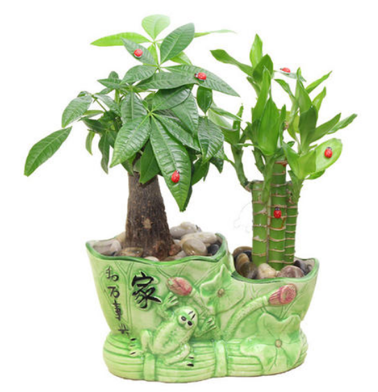 乔迁新居送什么礼物