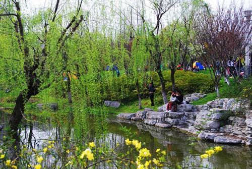 清明节的习俗有哪些