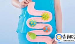 XBB1.5是否会攻击人的肠道