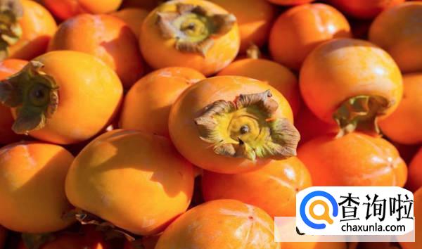 柿子如何去涩最快最甜?