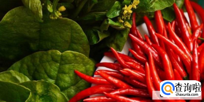 补肾壮阳的最佳食物