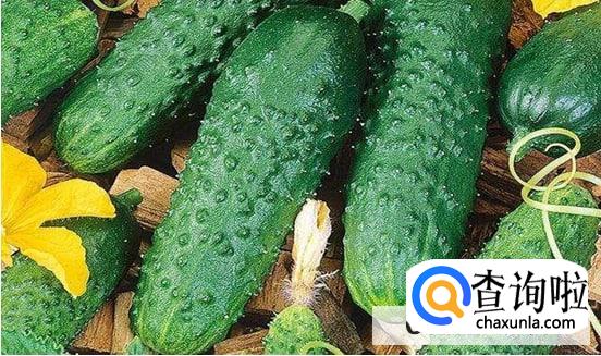 黄瓜跟什么食物相克不能一起吃