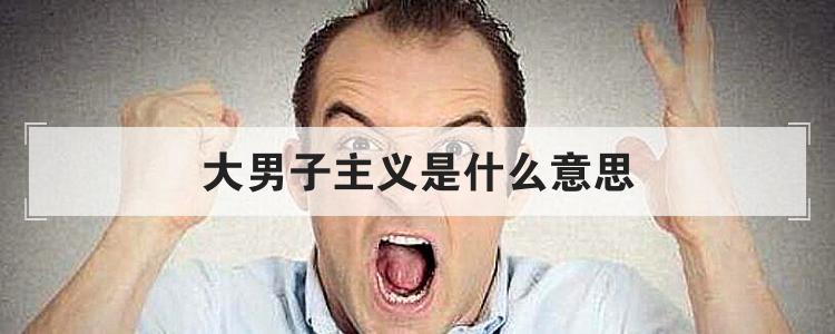 大男子主义是什么意思
