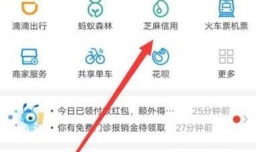 花呗额度一直不涨怎么办