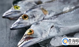 成袋的带鱼是不是很腥