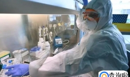 奥密克戎突变已基本饱和了吗 奥密克戎的种类有多少种