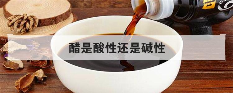 醋是酸性还是碱性