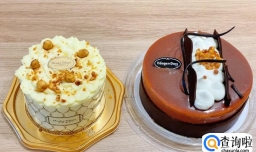 哈根达斯冰淇淋蛋糕怎么切好看