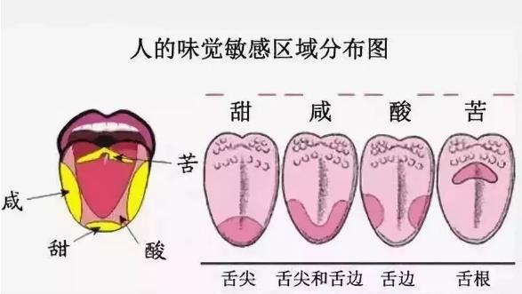 为什么辣不是一种味道
