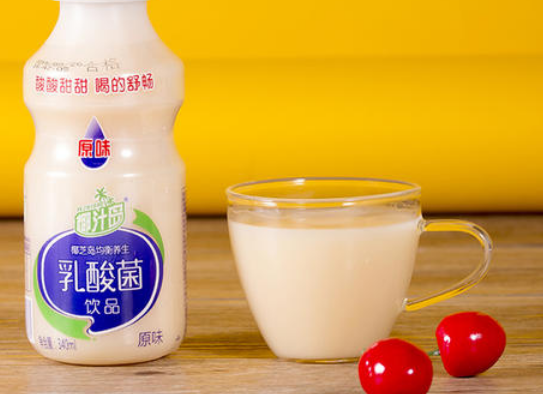 乳酸菌的代谢类型