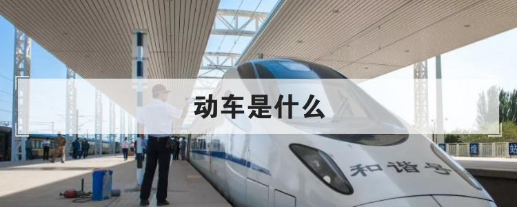 动车是什么