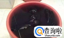 如何解决黑衣服掉色问题