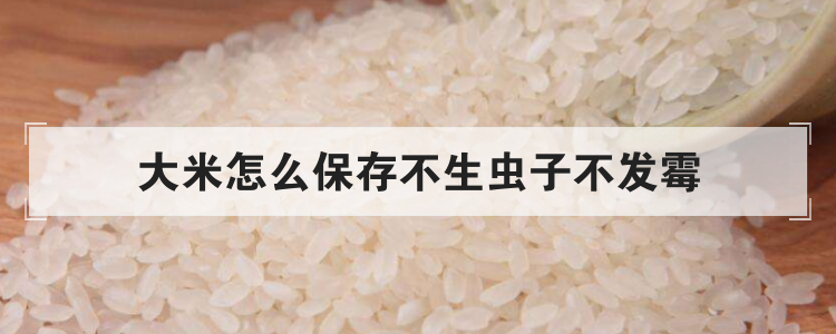 大米怎么保存不生虫子不发霉