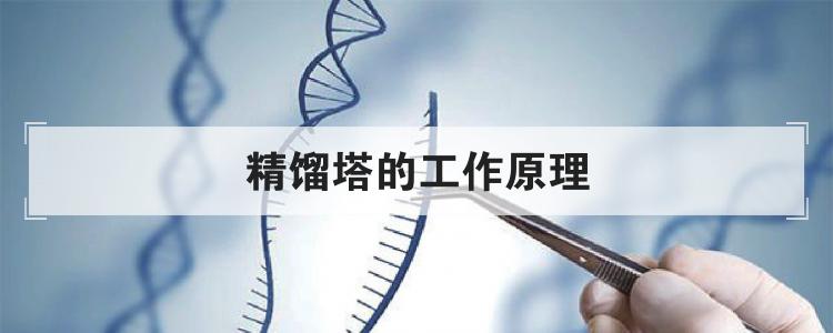 精馏塔的工作原理