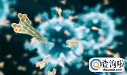 之前产生的新冠抗体还有保护作用吗  抗体是不是越高越好