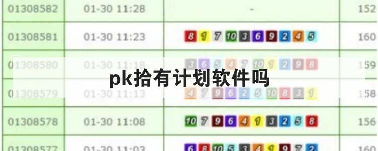 pk拾有计划软件吗br