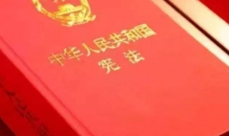 1980年经什么决定正式成立了宪法？