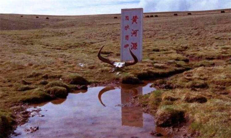 黄河源头是哪里