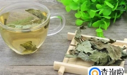 降压茶哪种效果最