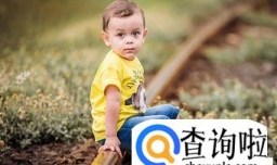 姓夏的男孩名字大全