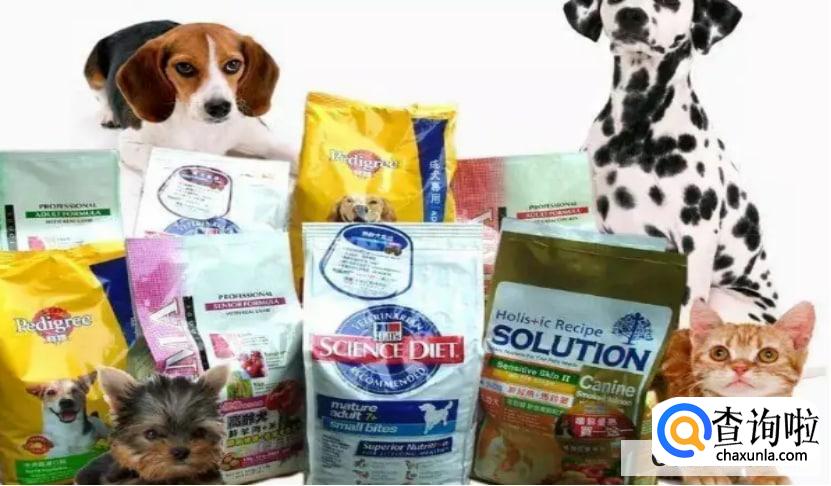 宠物用品行业现在发展的怎么样