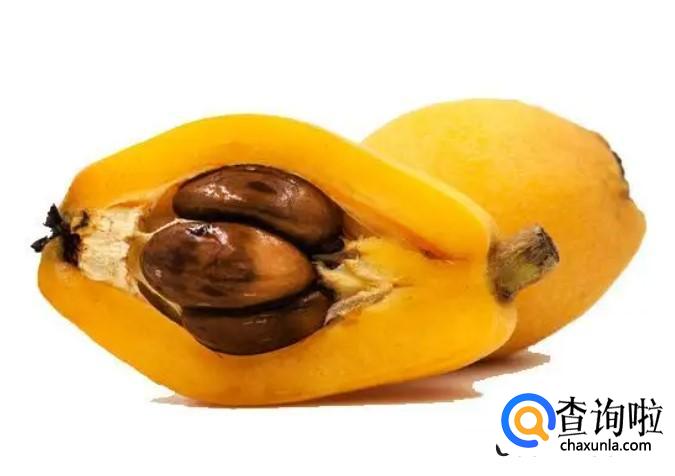 枇杷的食用禁忌