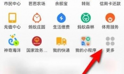支付宝亲情付金额不足时怎么设置是否提醒我