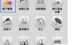 如何用中国银行手机APP把美元交换成人民币?