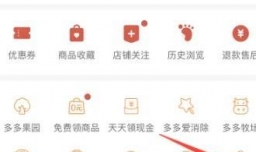 拼多多怎样开启可以通过好友推荐找到我