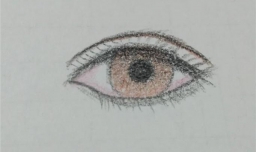 初学者学习眼睛的简单画法