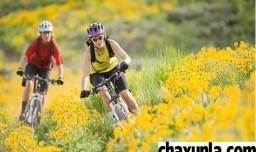 高考在即眼部不适？用这6个小妙招