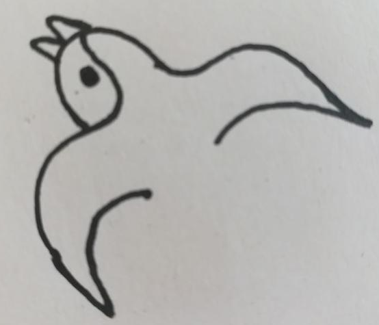 燕子简笔画