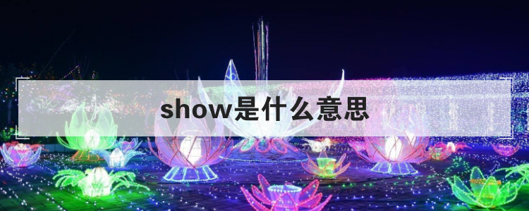 show是什么意思
