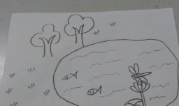 美丽的小池塘简笔画画法