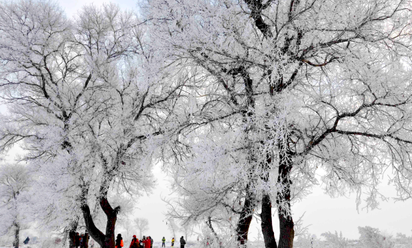 中国四大自然奇观