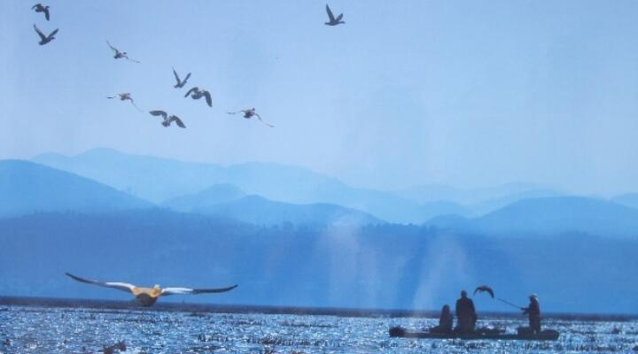 天高任鸟飞的意思是什么?