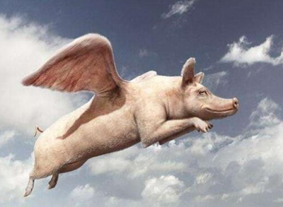 回族人为什么不吃猪肉