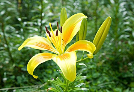 复活节一般会送什么